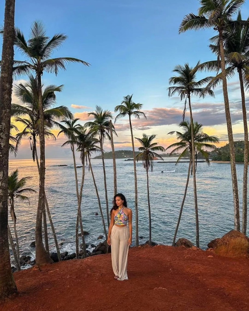 Sunset Beach with Coconut Palms