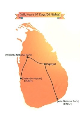 Wild Nights Route Map
