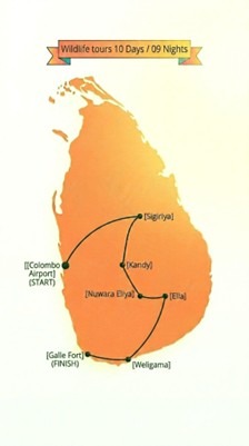 Wild Tour Route Map