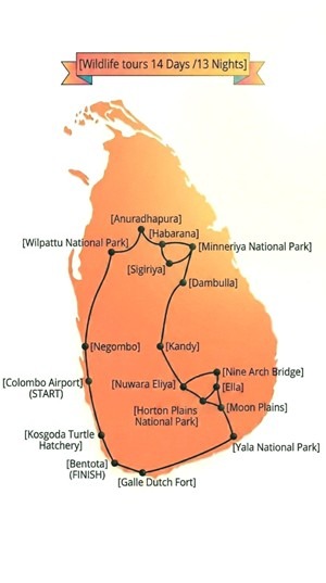 Wildlife and Culture Map